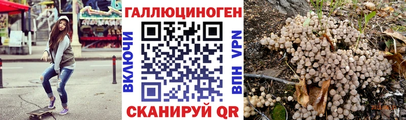 Псилоцибиновые грибы MAGIC MUSHROOMS  блэк спрут онион  Заволжск  купить закладку 